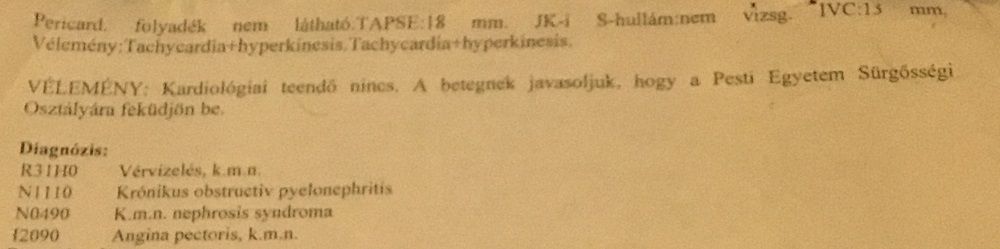 Dr Gödölle Zoltán lelete: tachycardia, hyperkinesis. Azonnali kezelést javallt a kezeletlen vesemedence-gyulladásra (pyelonephritis)