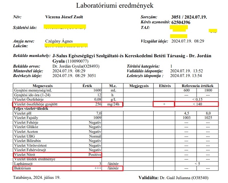 24 órás vizeletgyűjtés eredménye, lelete: proteinuria, pozitív vizelet Nitrit, pozitív baktériumvizelés (bakteruria)