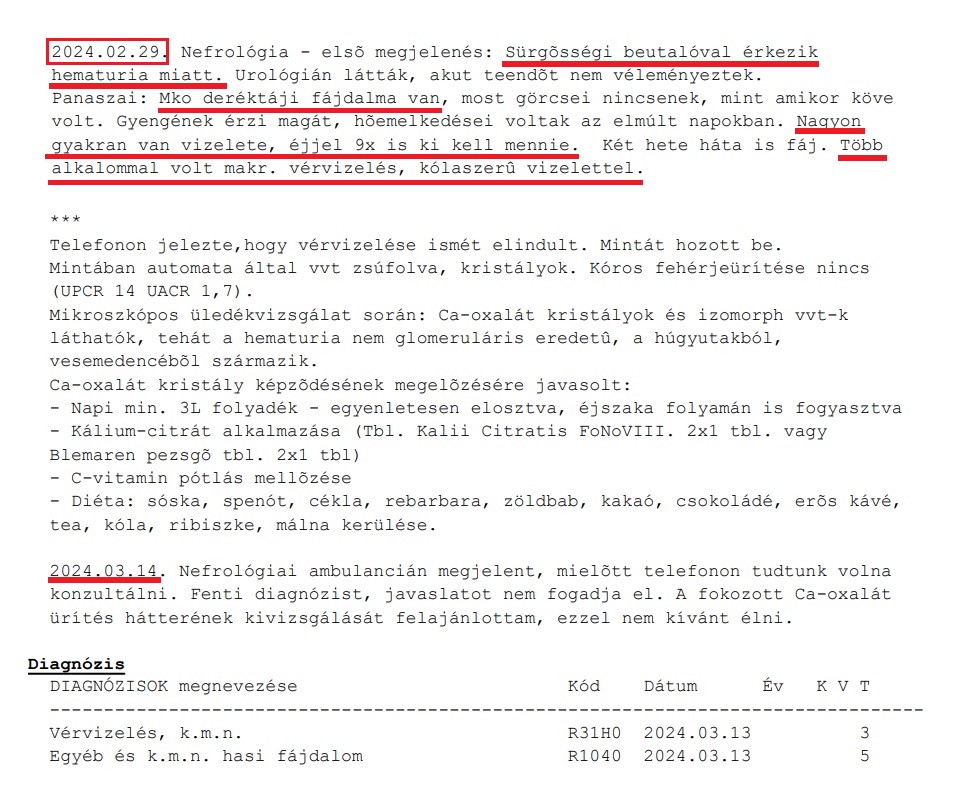 Dr Ledó Nóra nefrológus rendelésén kapott ambuláns lap, lelet.