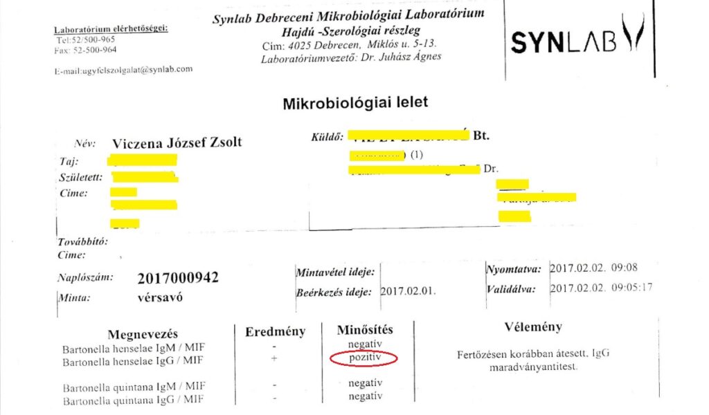 Pozitív Synlab Bartonella szerológiai (antitest) vizsgálat lelet