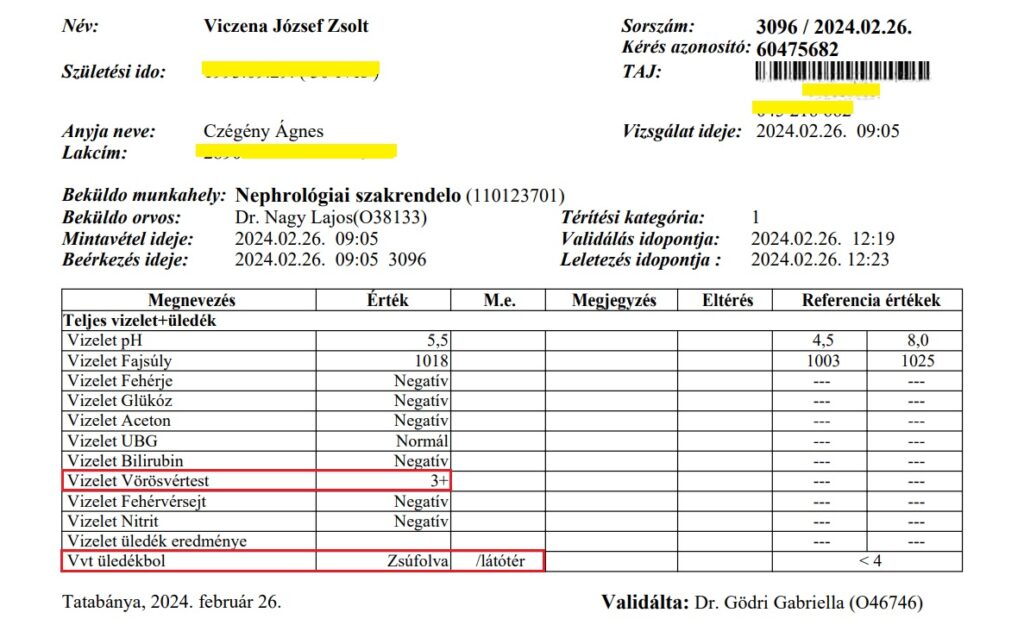 Dr Nagy Lajos nefrológus (Szent Borbála Kórház) lelete: 3 keresztes vérvizelés, vvt zsúfolva látóterenként - a vesemedence gyulladás figyelmeztető súlyos jelei.