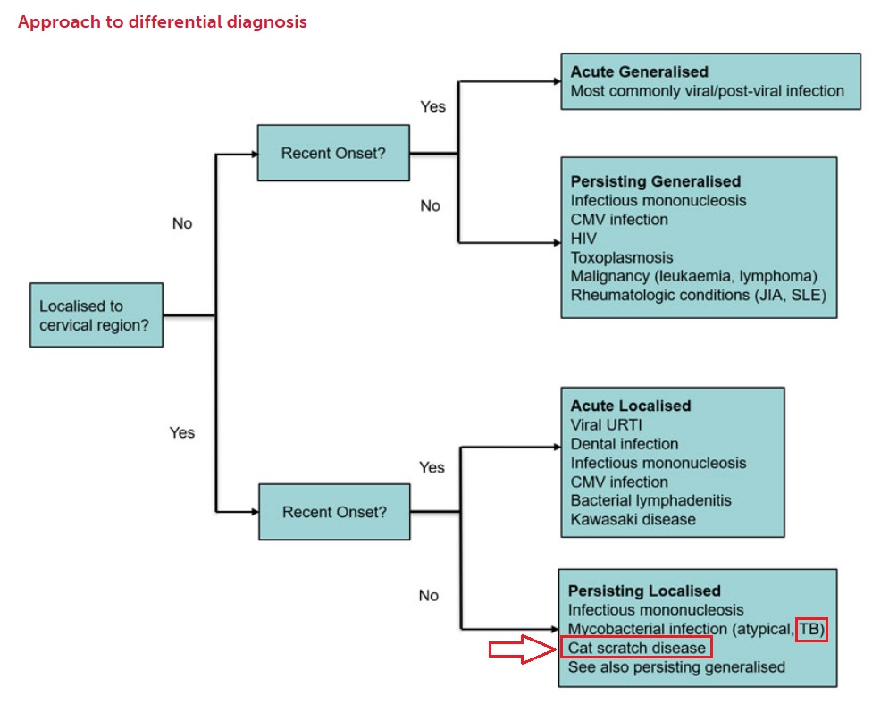 Összefoglaló ábra a nyaki nyirokcsomó megnagyobbodás okairól. Krónikus lokalizált esetben: mycobacteriális fertőzés, tuberkulózis, bartonellózis, macskakarmolási betegség, mononukleózis. Generalizáltkrónikus esetben: mononukleózis, CMV fertőzés, HIV fertőzés, Toxoplazmózis, limfóma, leukémia, lupusz és más reumatológiai betegségek.