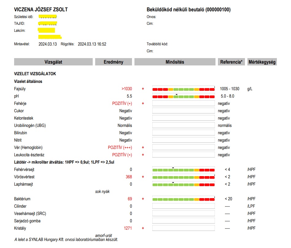 Synlab vizeletvizsgálat üledékkel lelet. Fehérje pozitív, vér pozitív, leukocita észteráz pozitív, vörösvértest zsúfolva/látótér (368/látótér), sok nyák, sok baktérium, rengeteg amorf urát kristály a vizeletben. A kezeletlen vesemedence-gyulladás laboratóriumi jelei.